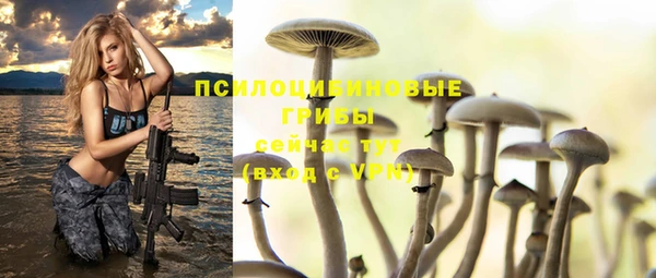 прущая мука Липки
