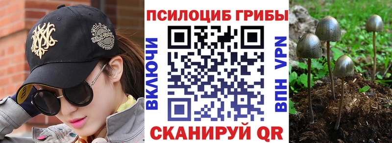 Псилоцибиновые грибы Psilocybine cubensis  где купить наркоту  Никольское 